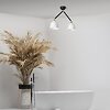 Neoretro ceiling lamp - 2-light ceiling lamp in milky white blown glass and black metal with rotatable joints - Sforzin illuminazione - detail thumbnail